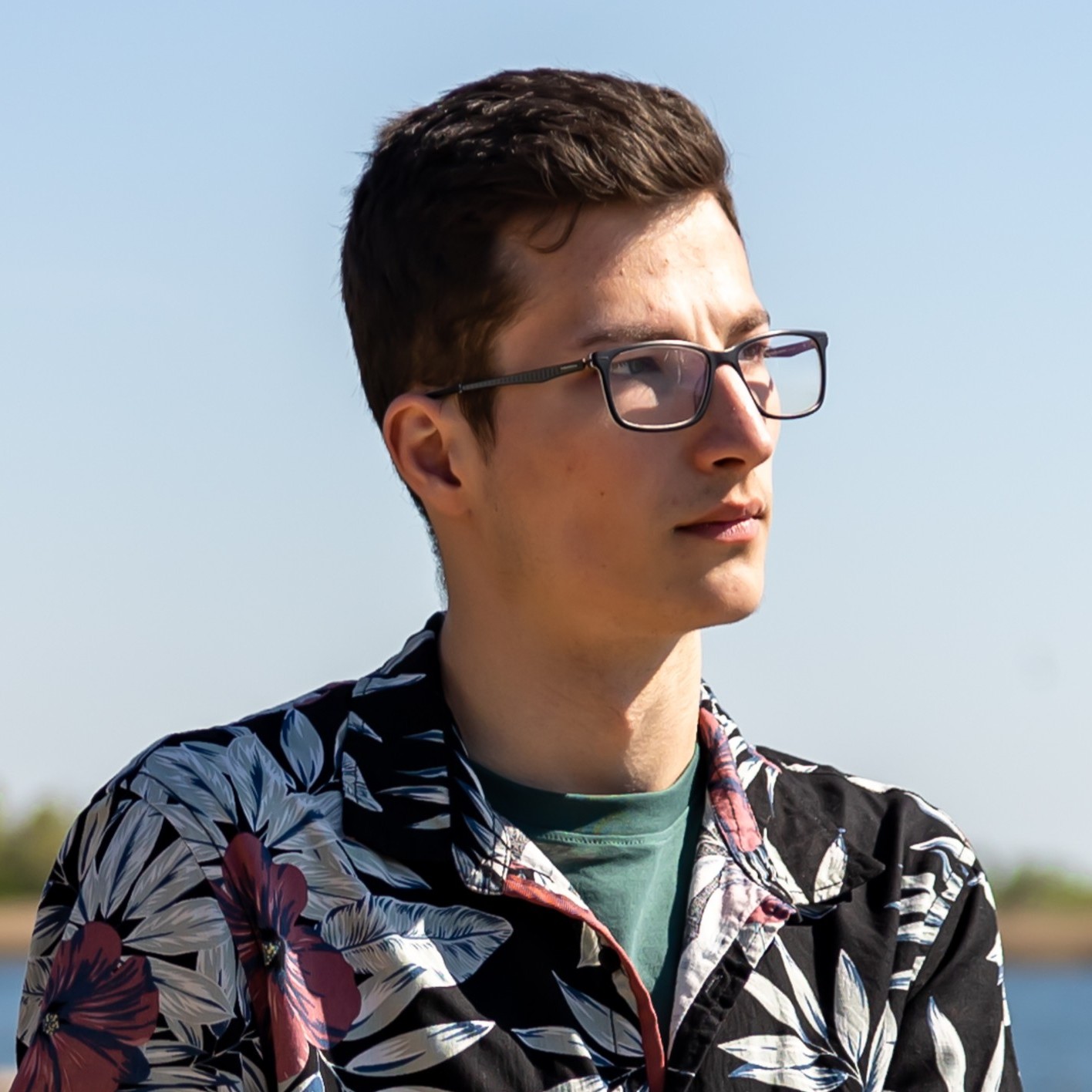 Professional Profile